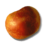 A Winesap Apple